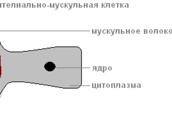 Кракен онион даркнет площадка