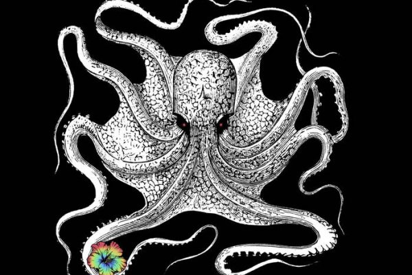 Kraken зеркало krakentor site