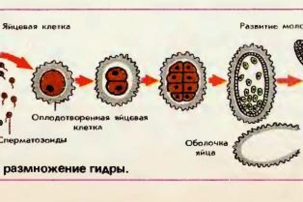 Где взять ссылку на кракен