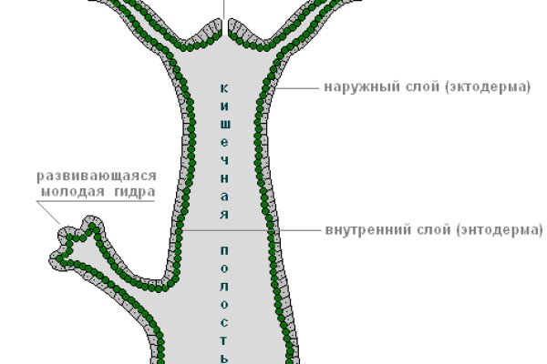 Кракен купить мефедрон